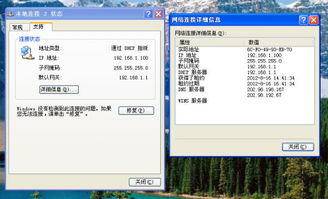 电脑连网线老断网的解决方法-图片2